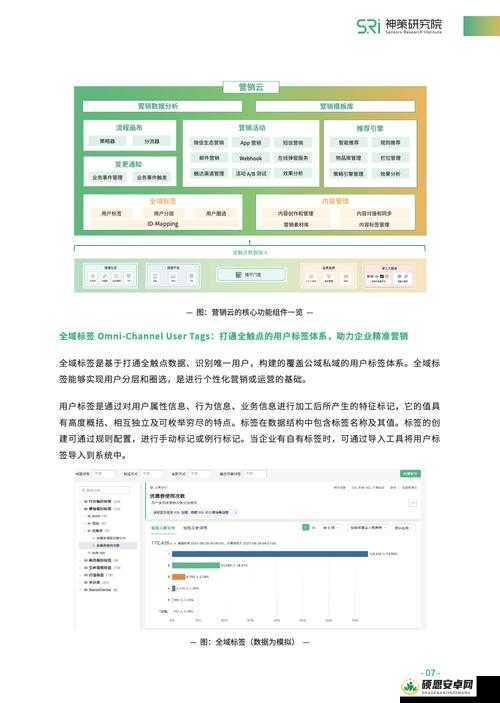 MY72777 最新域名查询：关于该域名的详细信息与使用说明